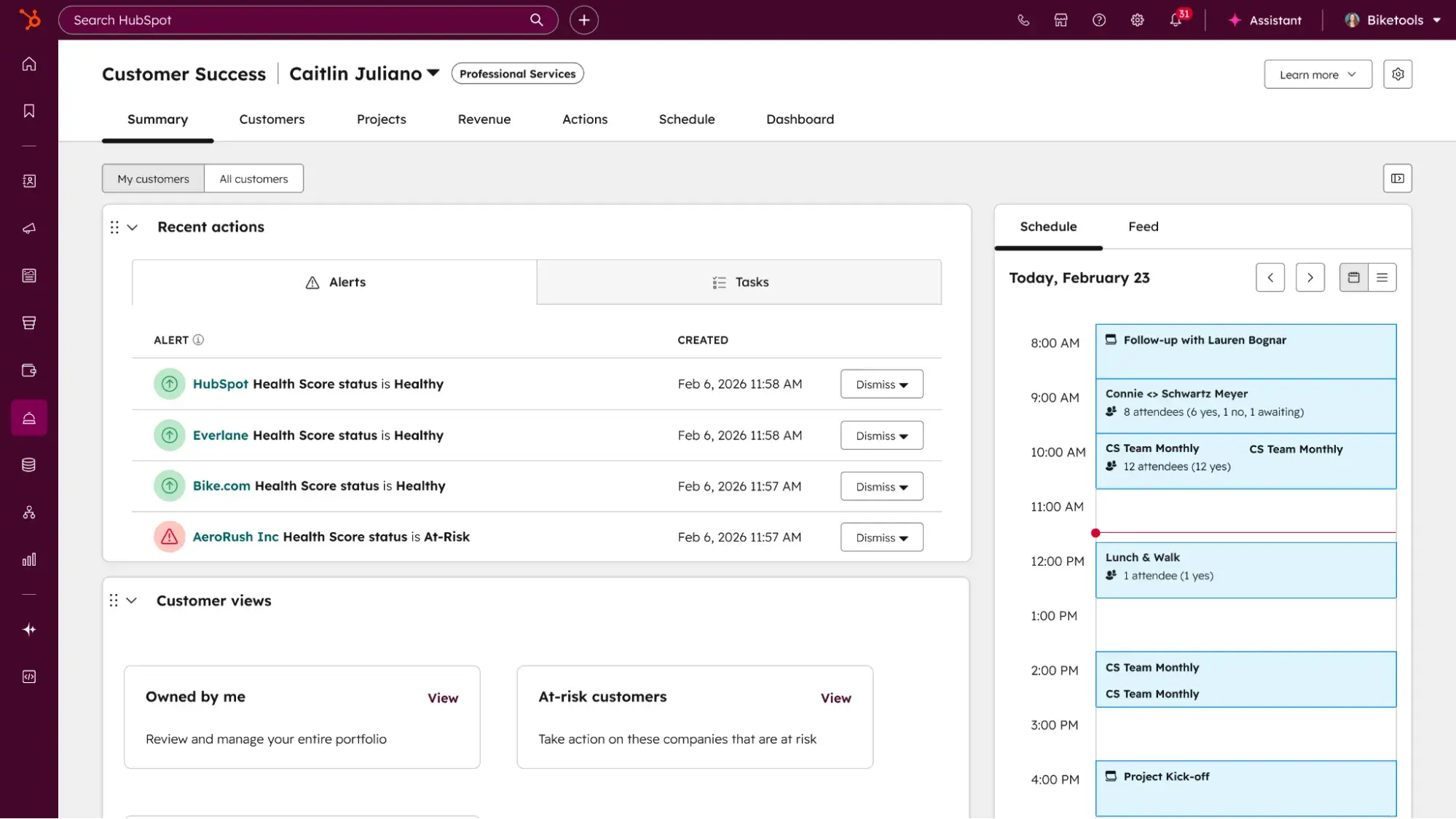 enterprise customer success, service hub customer success workspace