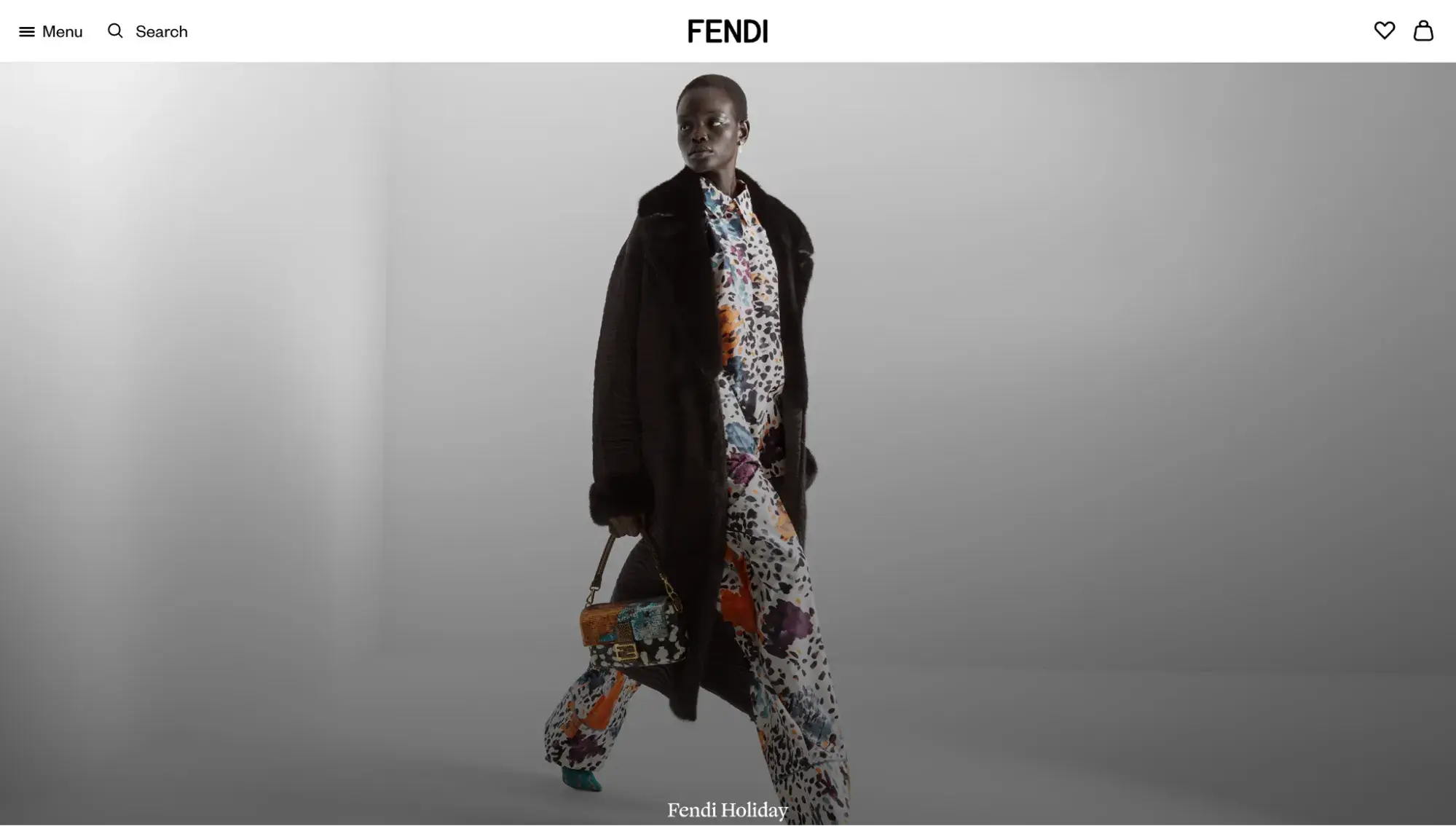 fancy website: fendi