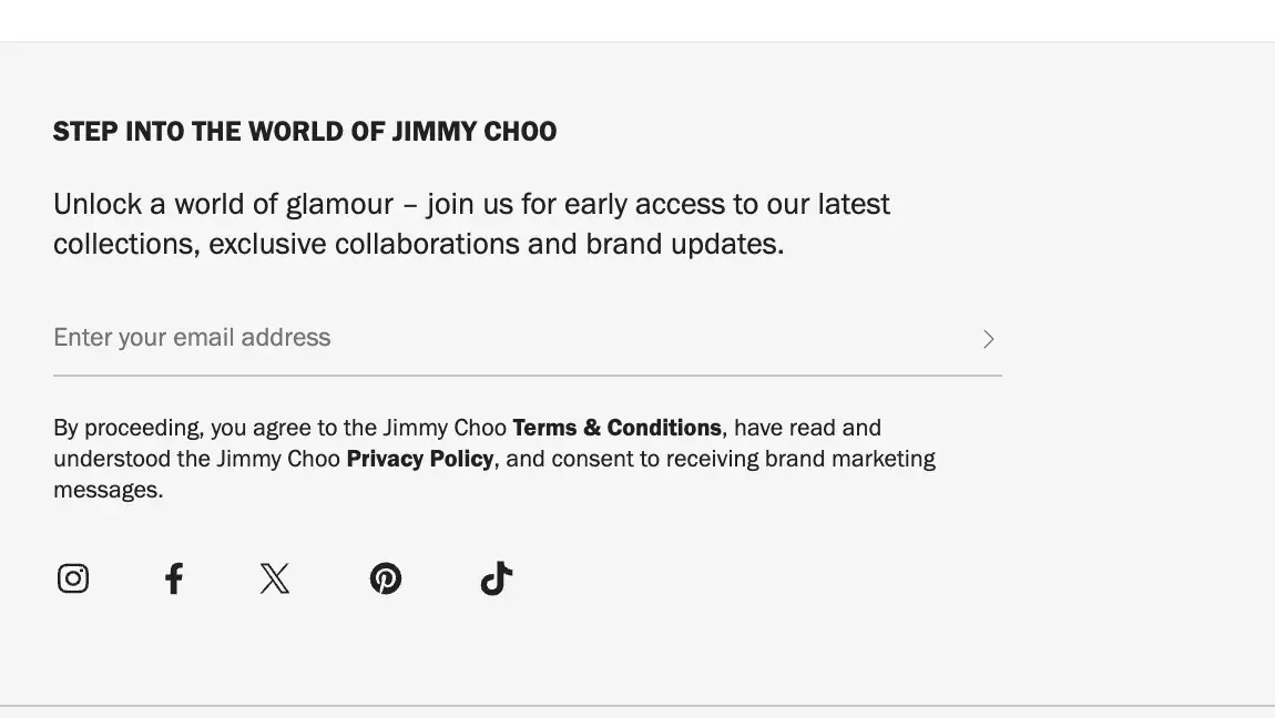 fancy website: jimmy choo footer email opt-in