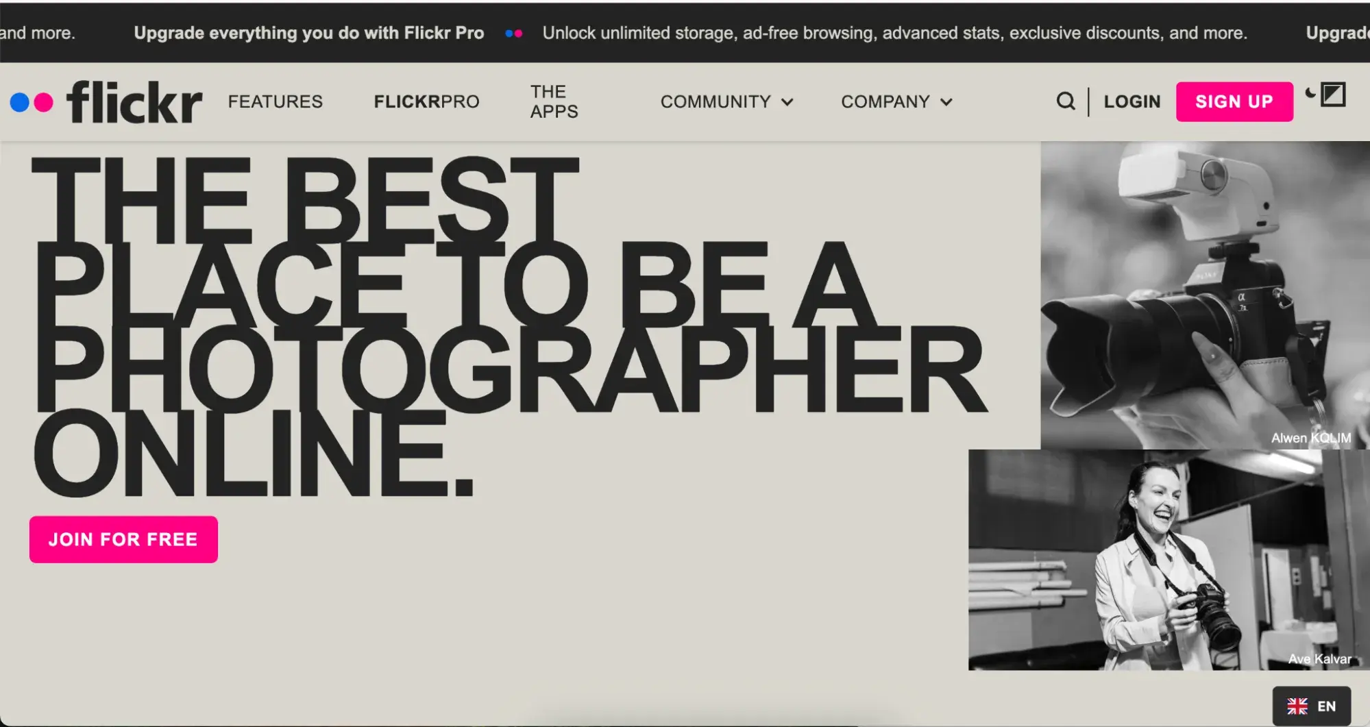 free portfolio website, flickr