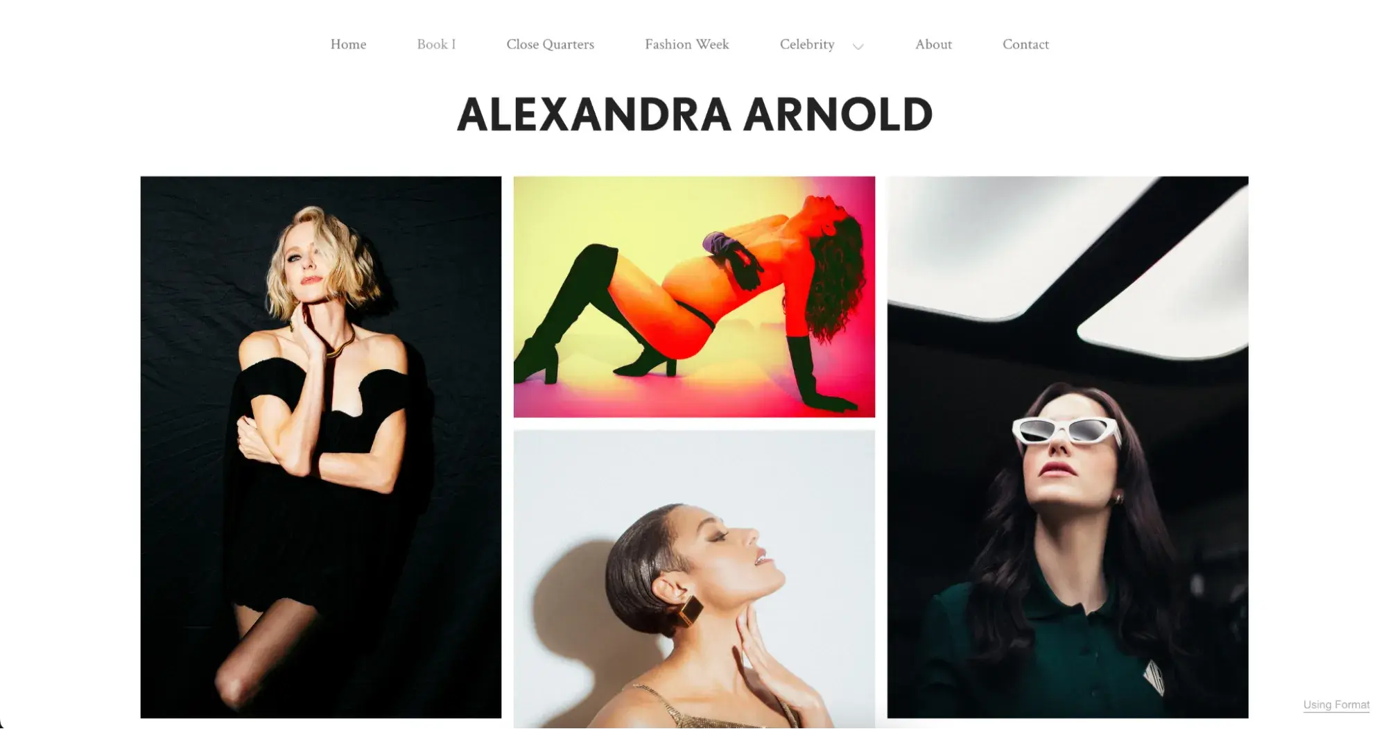 free portfolio website, format