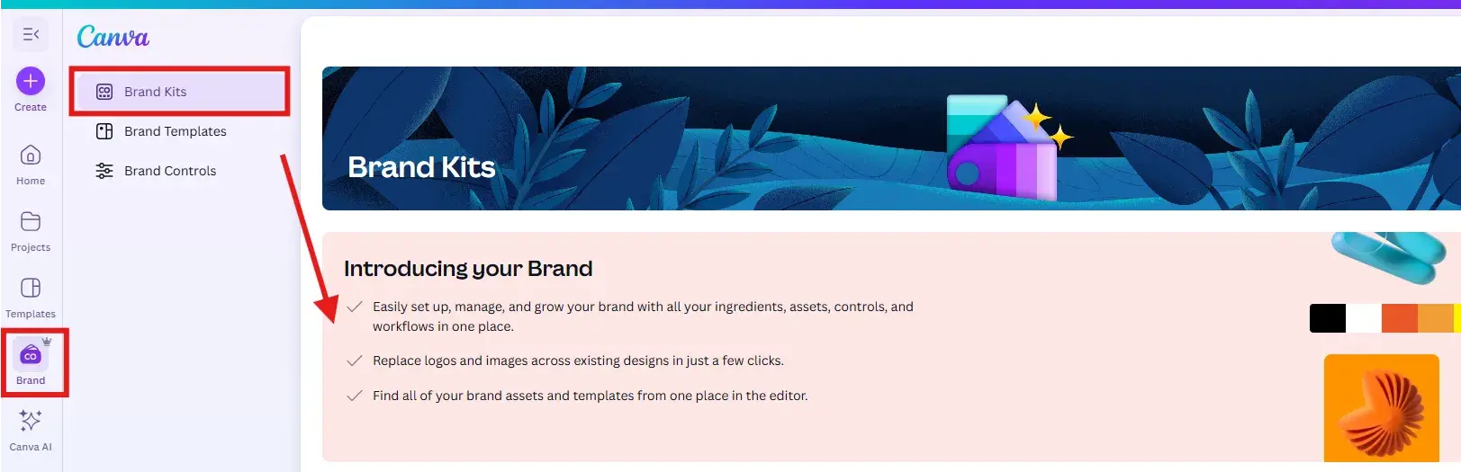 canva’s brand kits