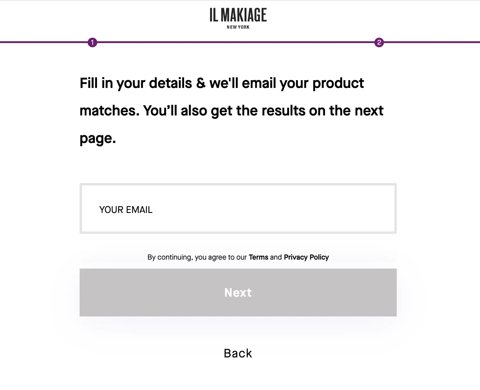 screenshot of il makiages gated content page that requests your email after youve taken its quiz. https://www.ilmakiage.com/powermatch-2-0-quiz-tbyb