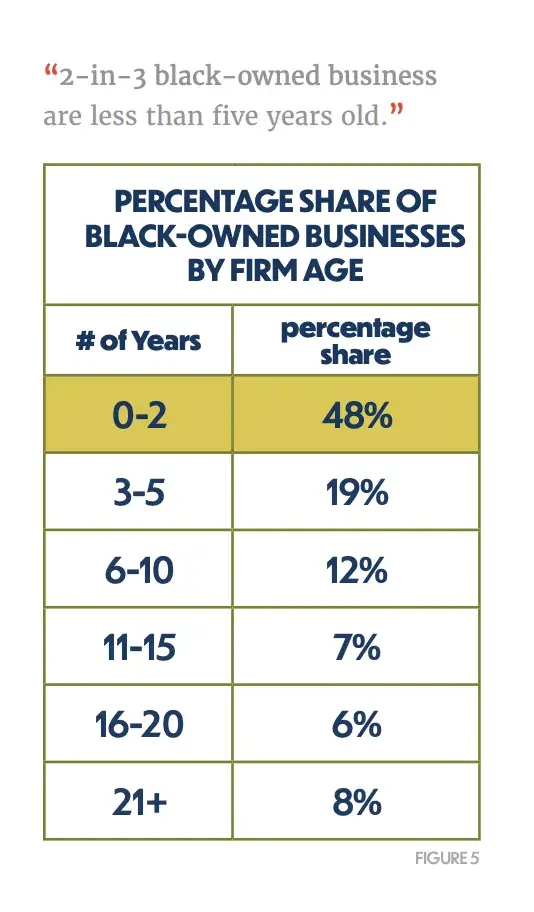 a screenshot of a visual table representing the percentage share of black-owned businesses based on firm age from the Center for Entrepreneurial Opportunitys 2024 State of Black Business Report