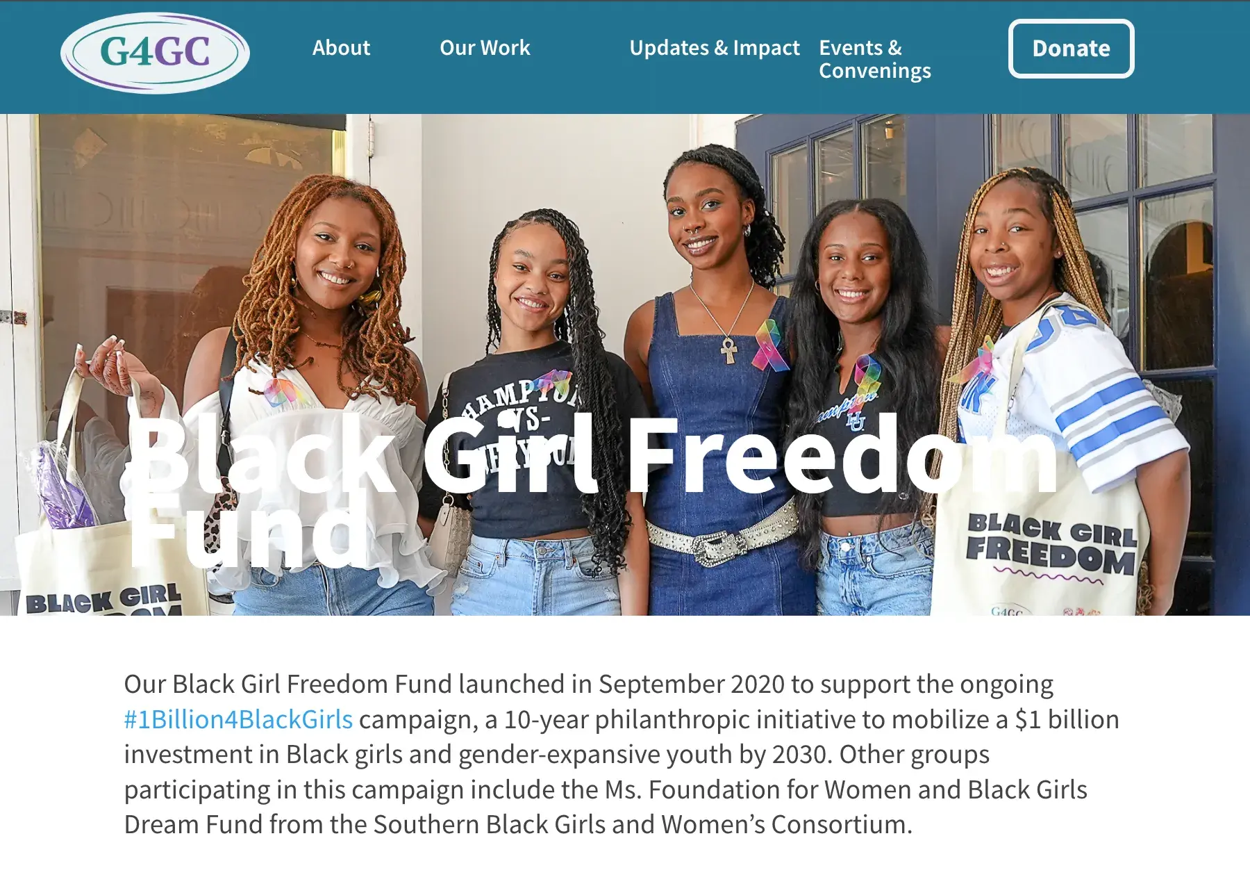 a screenshot of the black girl freedom fund grant about page