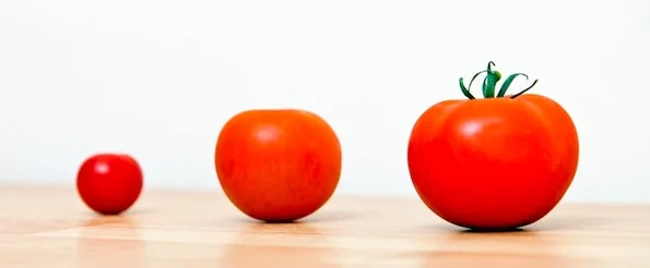 The Free Growth Tools I Recommend For Modern Businesses to Grow & Scale