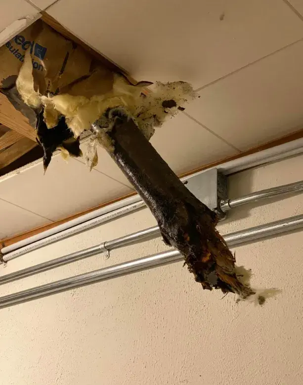 A tree limb sticking through the roof of Gamers Haunt