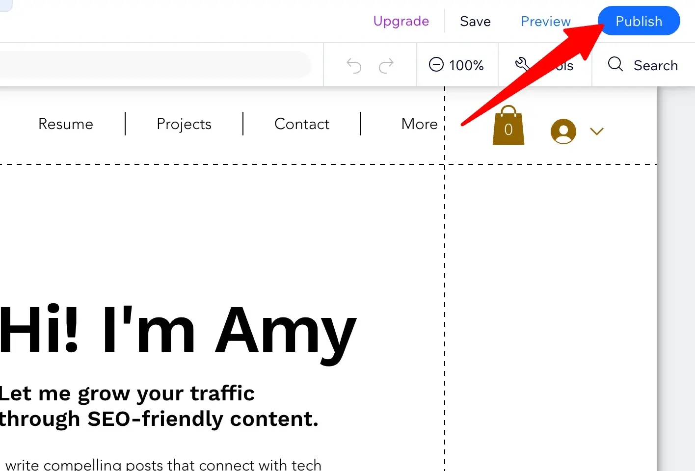 wix publish button