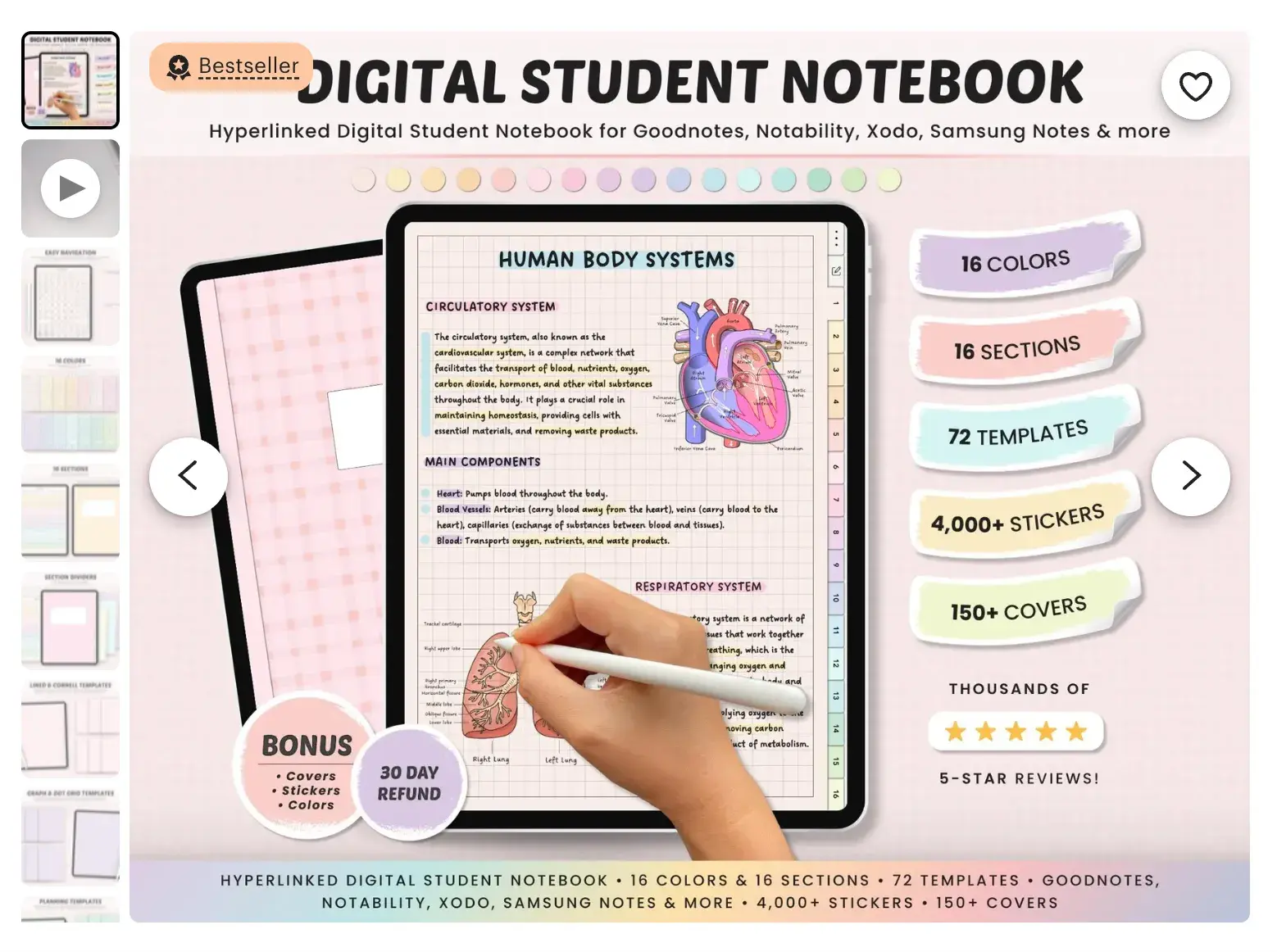 a screenshot of a multi-colored digital student notebook from an etsy users storefront