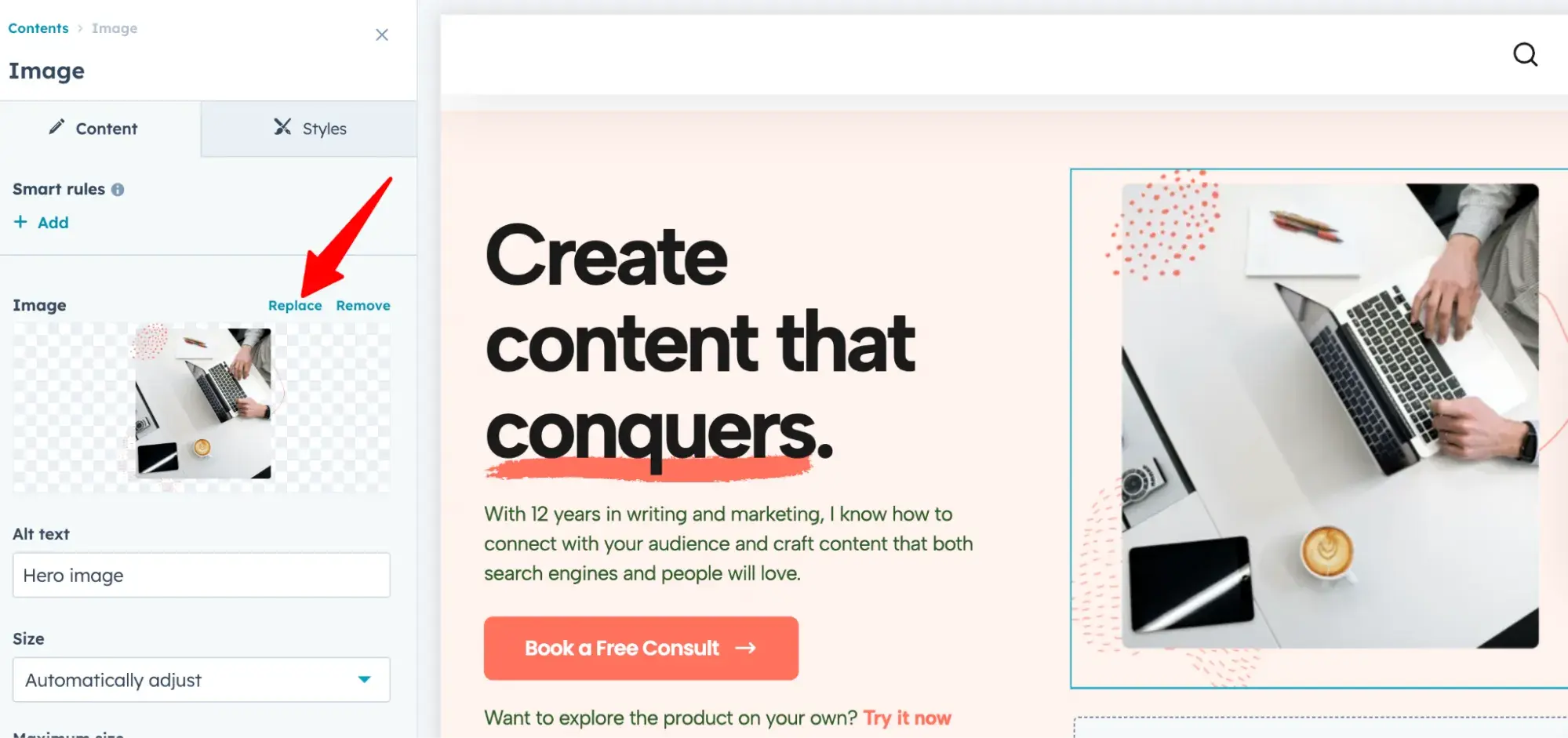 red arrow pointing to “replace” link over an image