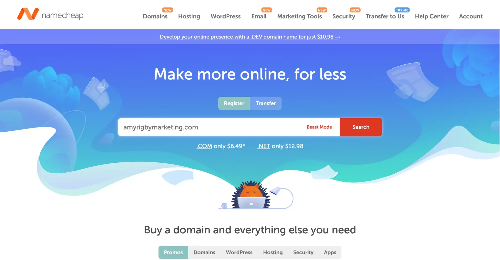 Namecheap's website