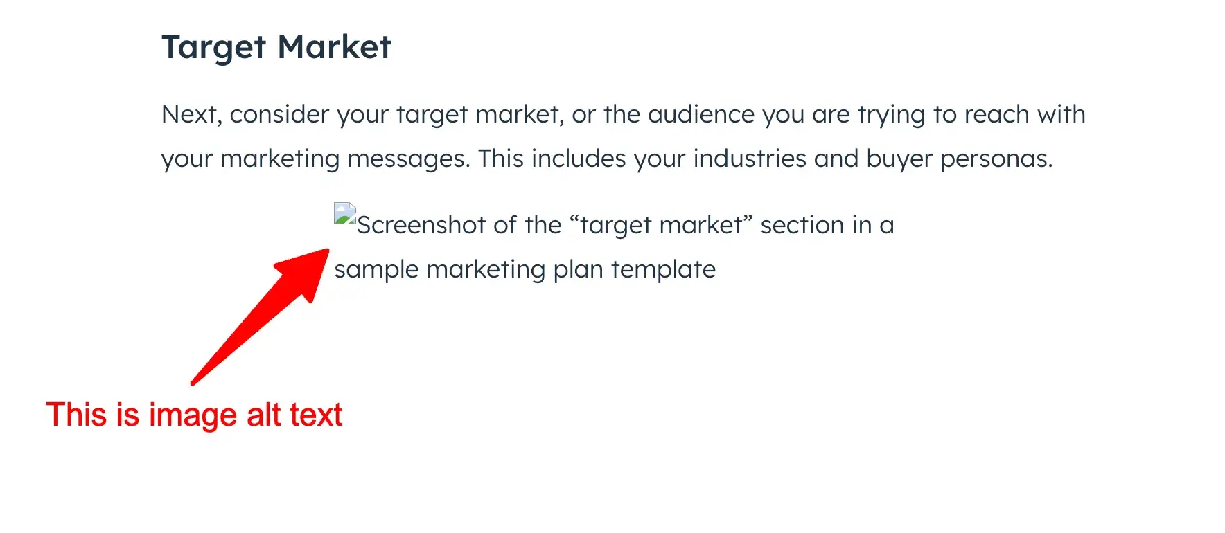 Image alt text appearing on a web page where an image failed to load. The image alt text reads, Screenshot of the target market section in a sample marketing plan template