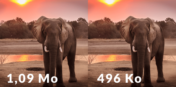optimisation taille image avec éléphant