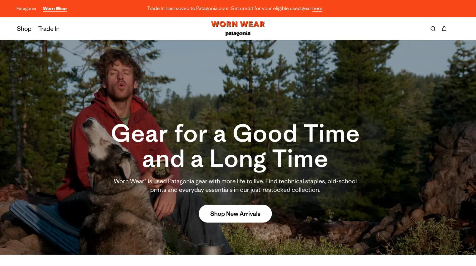 a screenshot of patagonia��s worn wear website