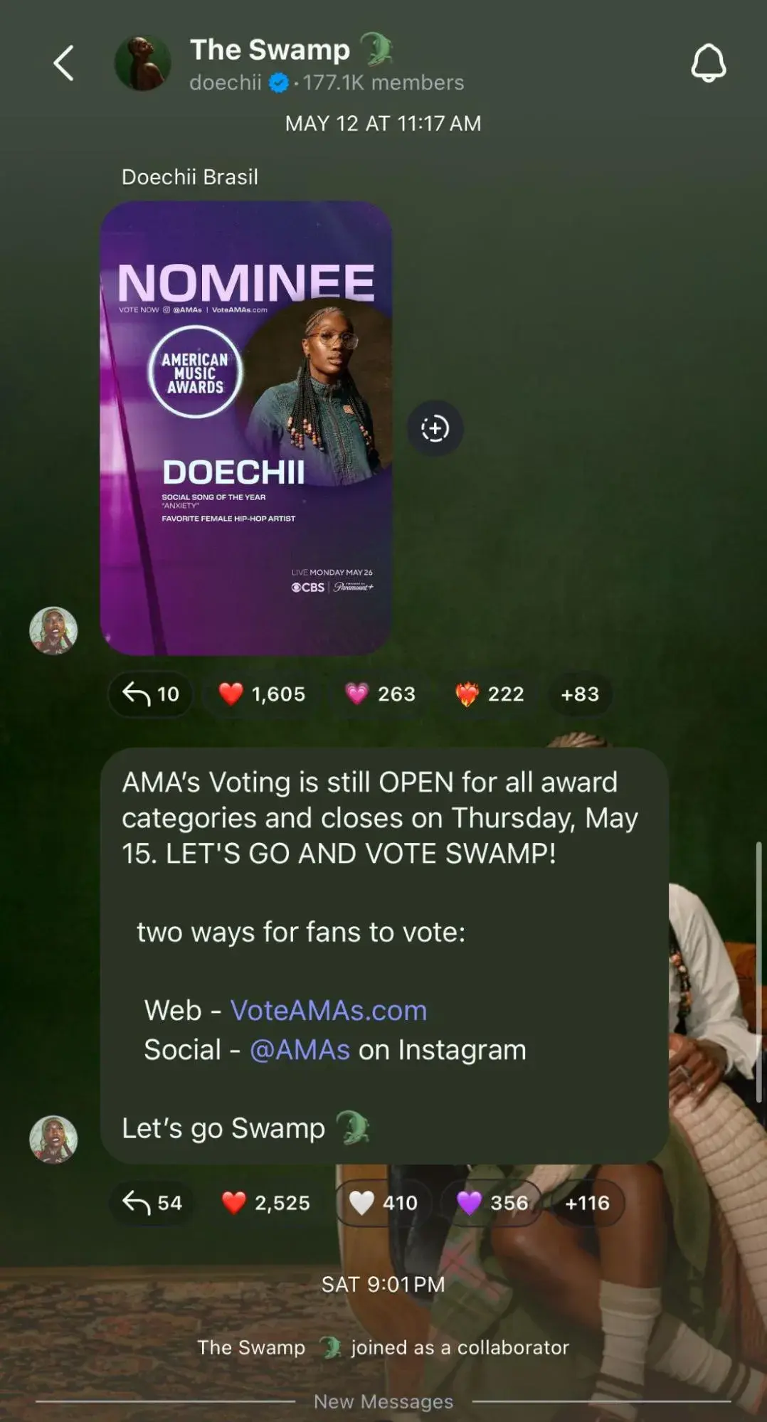a screenshot of doechiis broadcast channel title.d the swamp
