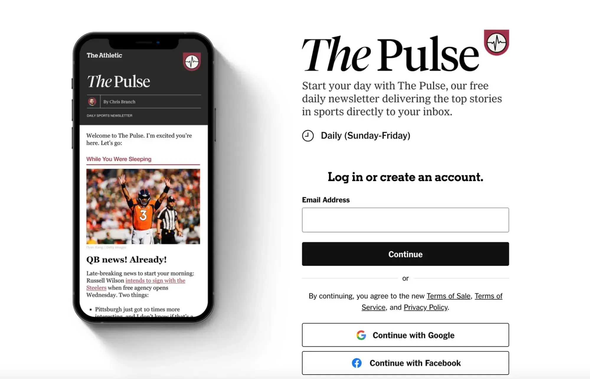 internet marketing, screenshot of the pulse newsletter