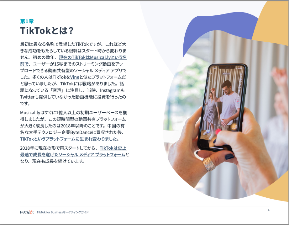 TikTok for Businessマーケティングガイド_06