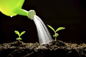 How HubSpot's Marketing Team Does Lead Nurturing