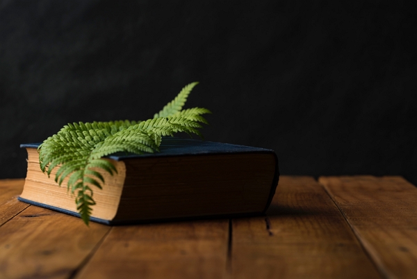 livre sur une table