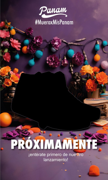 Ejemplo de promoción de producto de Panam