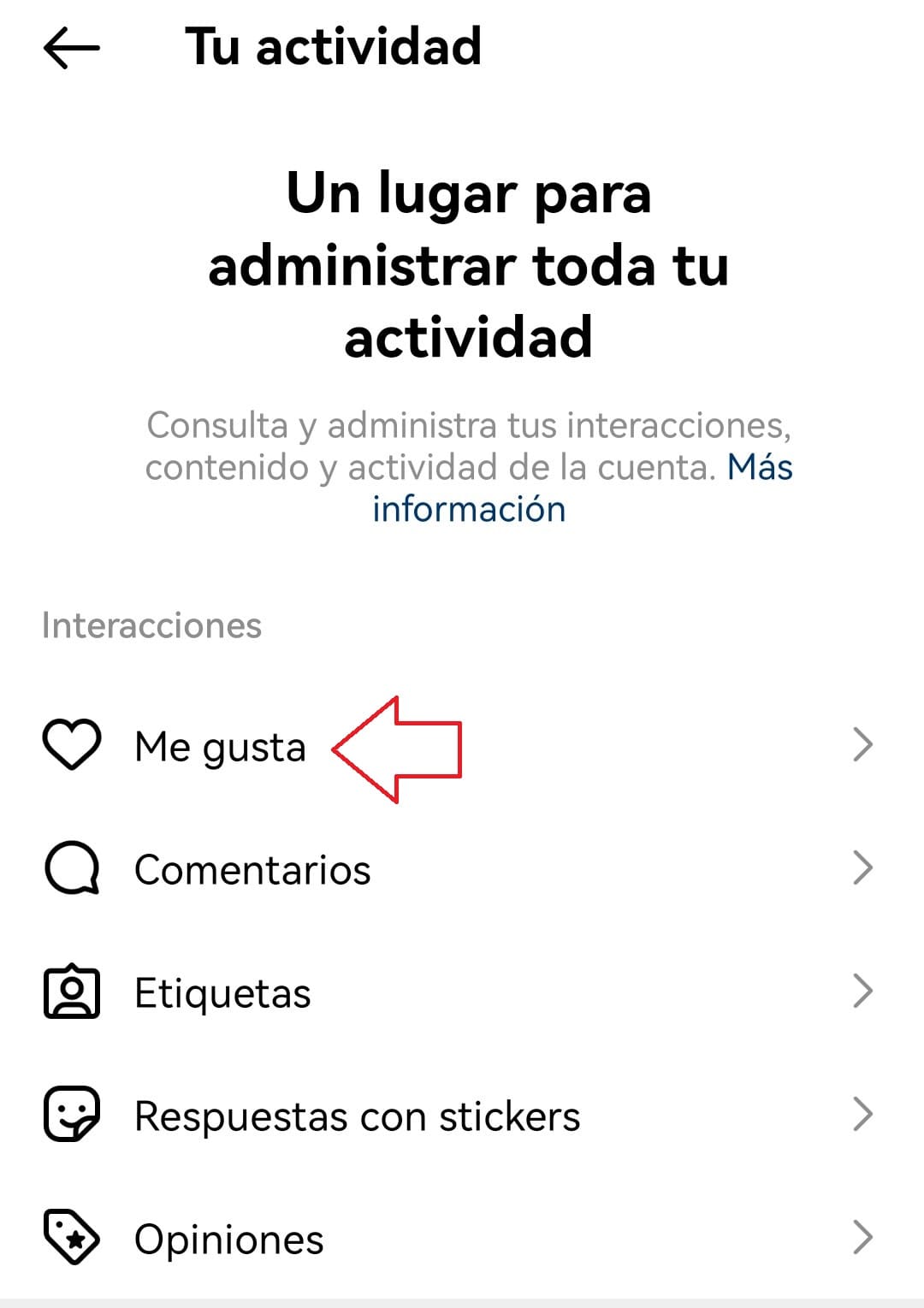 Tips de Instagram: actividad