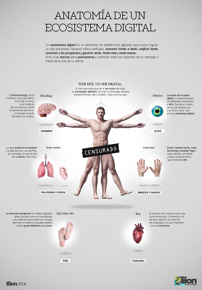 Esquema de ecosistemas digitales