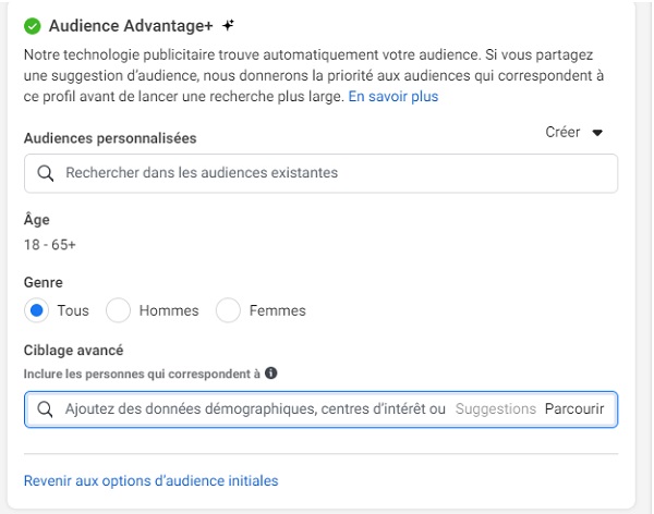 Pub instagram - audience advantage+