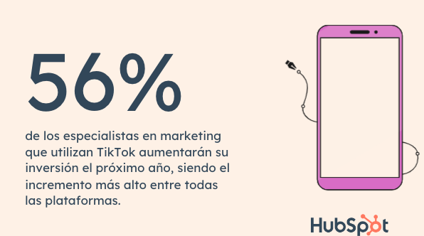 Usabilidad de Tiktok 2024