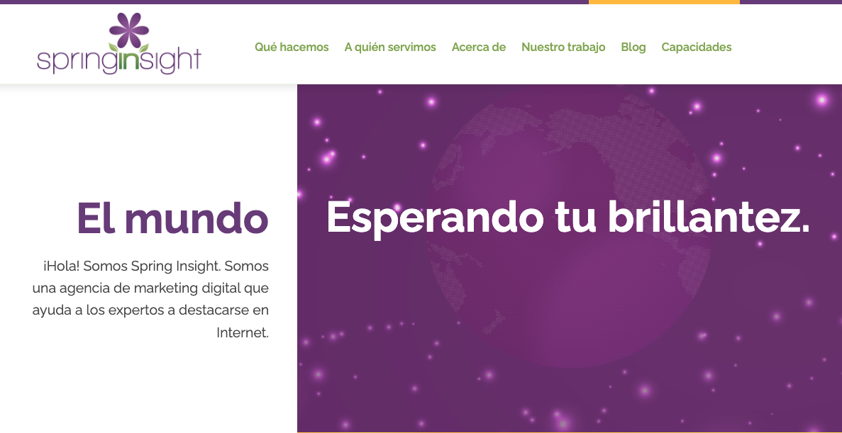 Idea de contenido de sitio web del sitio web de marketing de Spring Insight