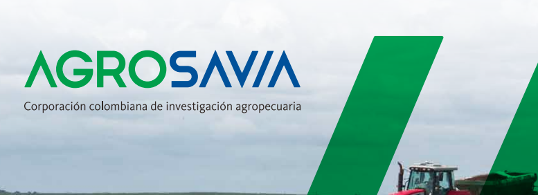 ejemplo de brand book de Agrosavia