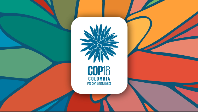 USO del slogan de COP16 "paz con la naturaleza"