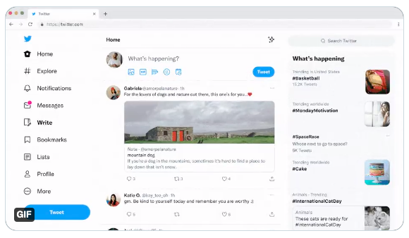 carte note fil d'actualité twitter