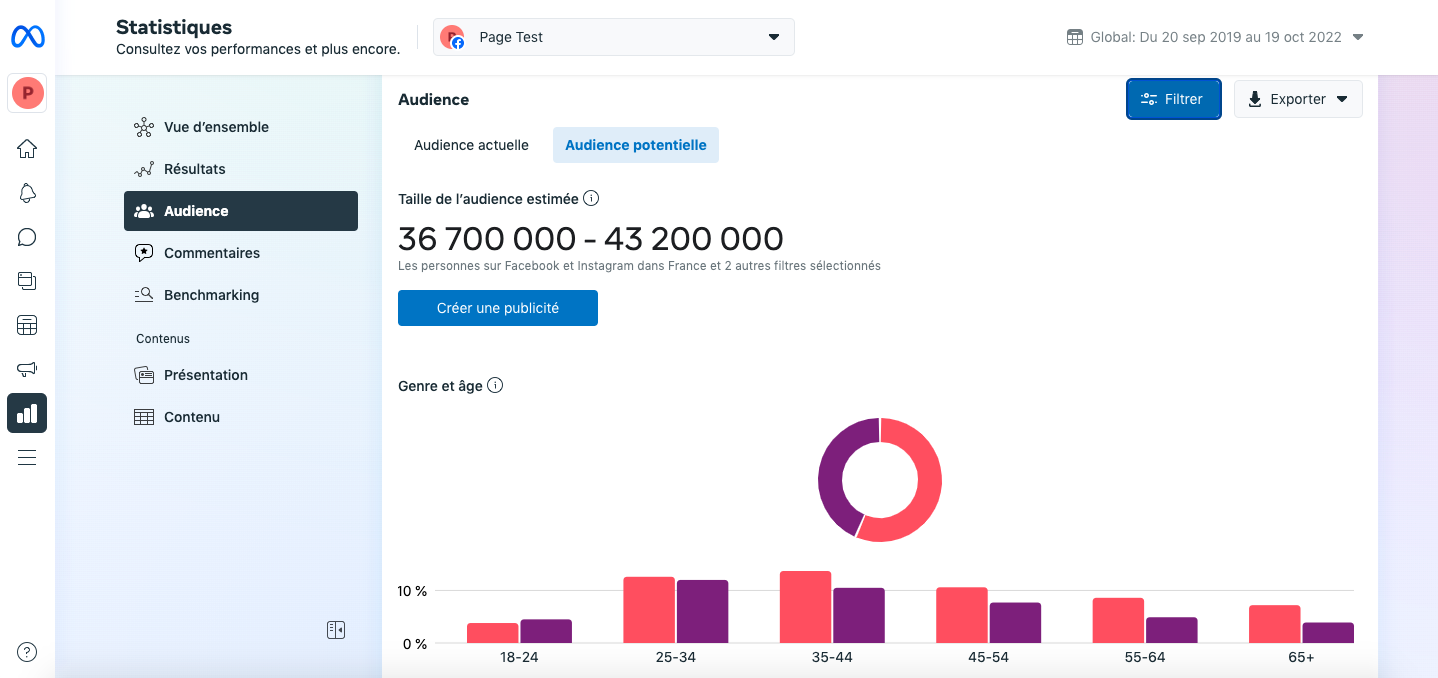 Audience Insights, onglet audience potentielle