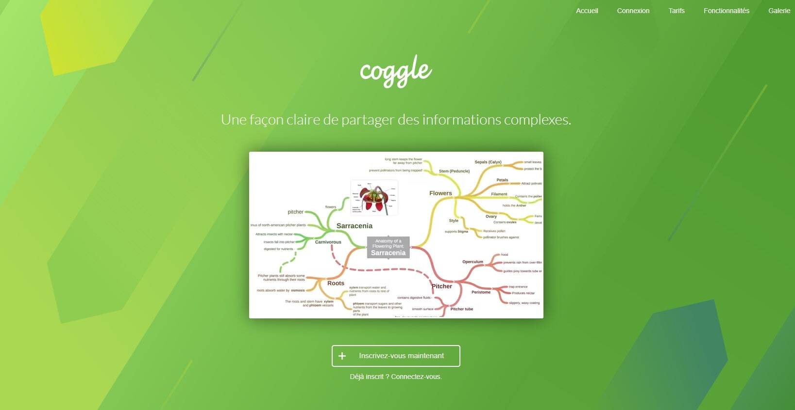 Plateforme de création de mind maps en ligne