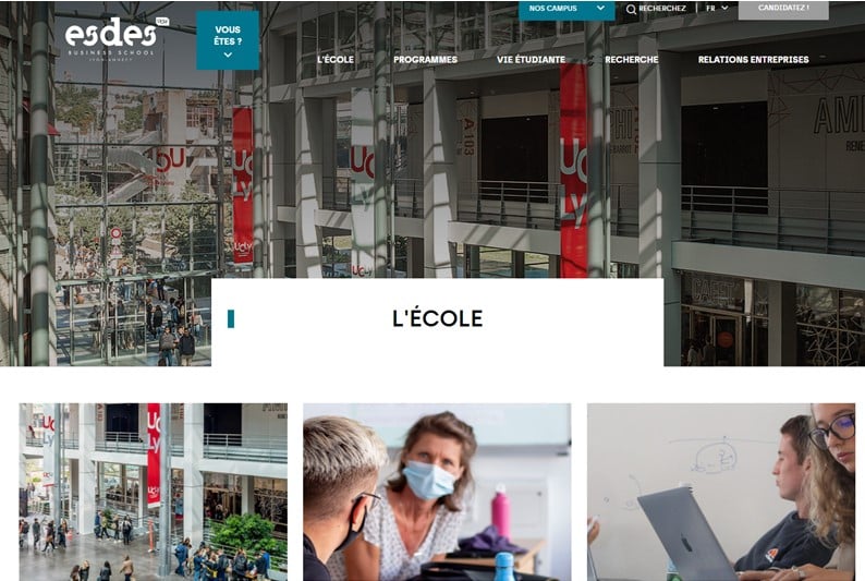 Marketing en ligne de l'ESDES Business School