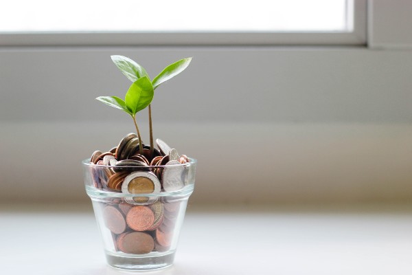 verre rempli de pièces avec une plante qui pousse