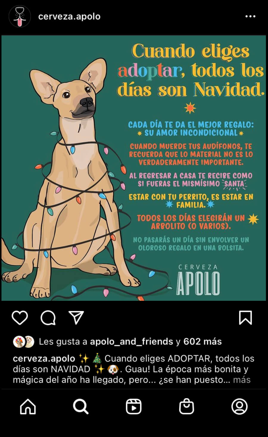 Ejemplo de contenido de concientización: Cerveza Apolo