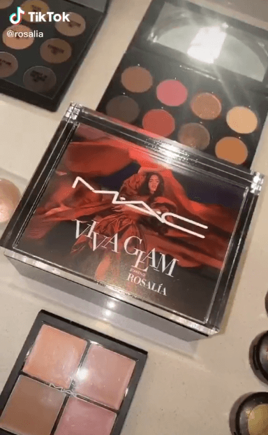 Cómo conseguir seguidores en TikTok: utiliza influencers