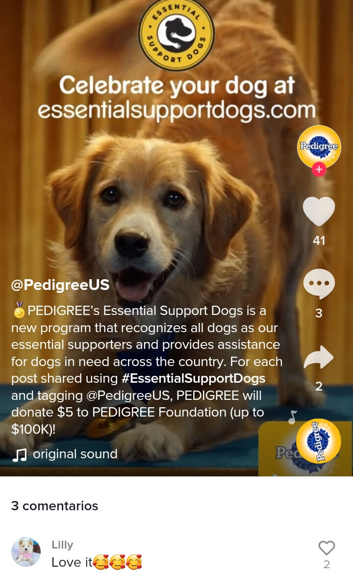 Cómo conseguir seguidores en TikTok: campañas con la audiencia