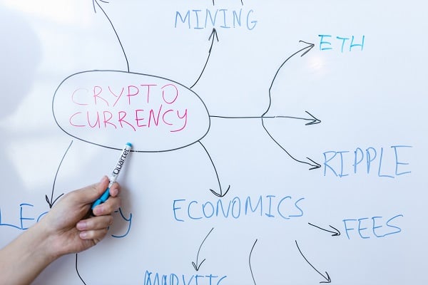 Diagramme pieuvre : définition, intérêt et création