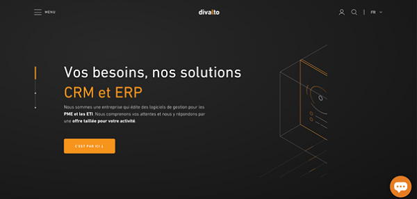 erp divalto