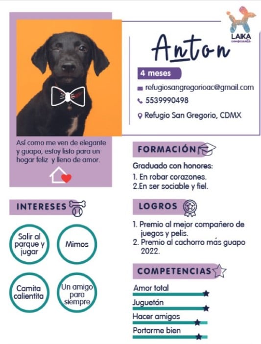 ejemplos extraordinarios de copywriting