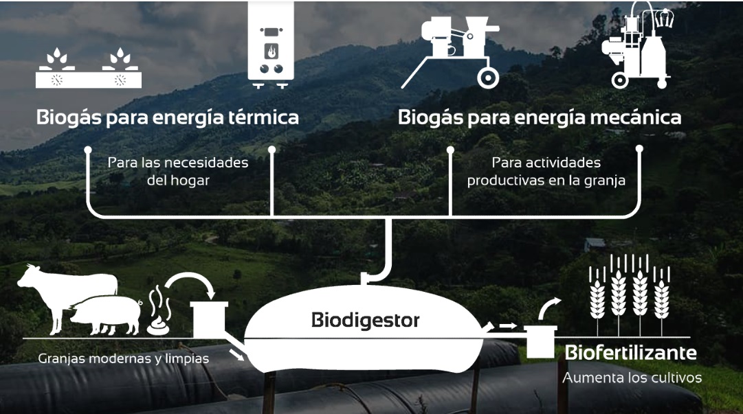 Qué es un emprendimiento - ejemplos