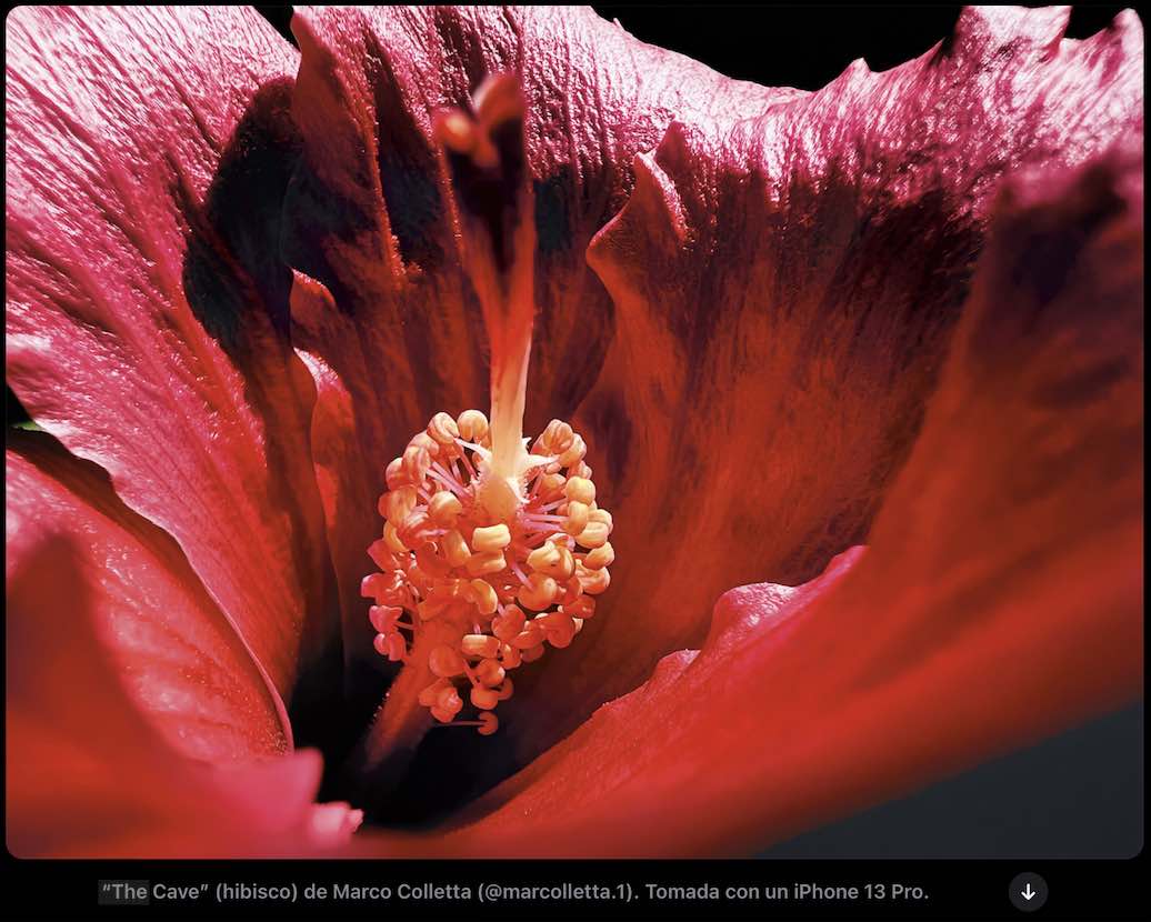 Ejemplo de marketing internacional: Apple