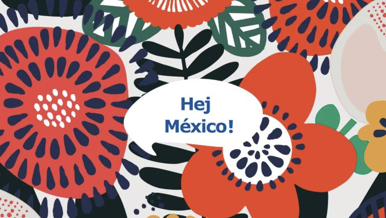 Ejemplo de estrategia de marketing internacional: IKEA