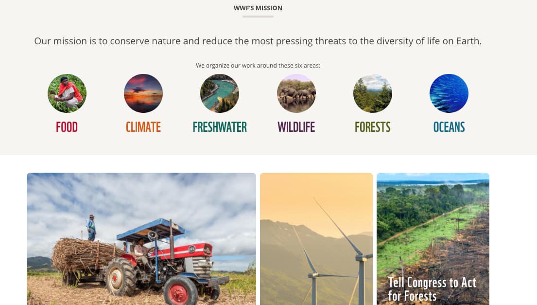 Estrategia de marketing internacional de World Wildlife Foundation