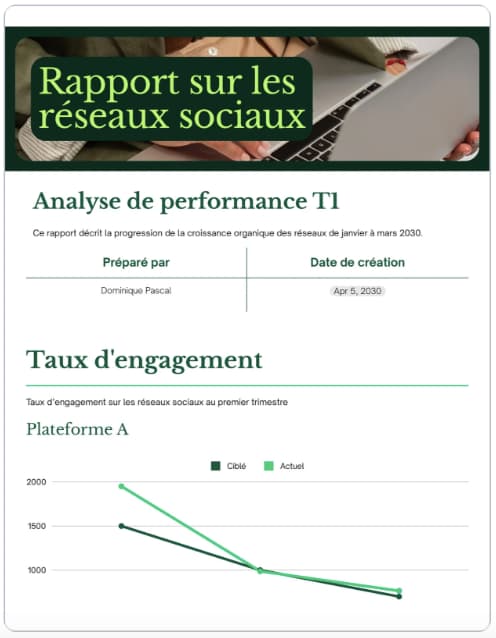 exemple de rapport d'activité marketing