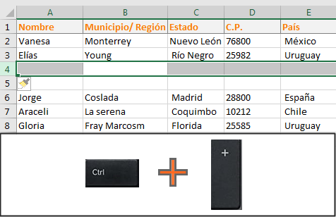 Funciones avanzadas de Excel: filas