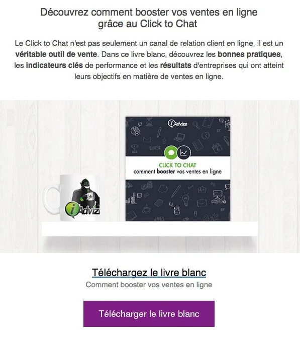 exemple emailing iAdvize