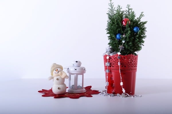 Ejemplos de decoraciones navideñas para la oficina: plantas